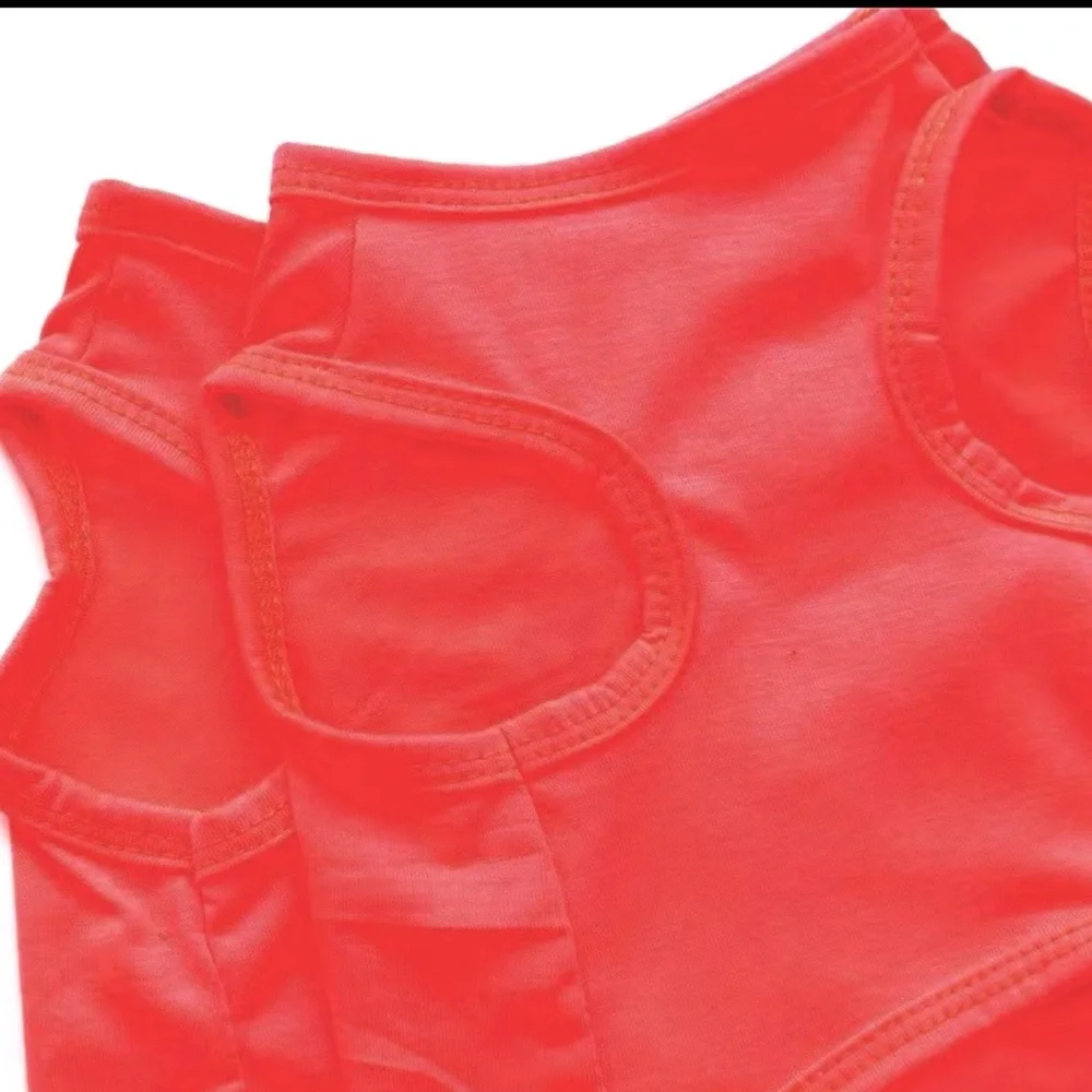 2 Doggy Watermelon Red Dog Shirts